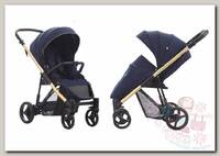 Прогулочная коляска Bebetto Rainbow Gold 02/рама золотая